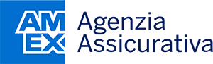 American Express Logo